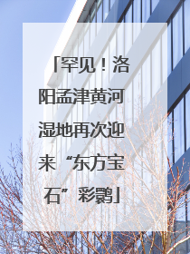 罕见！洛阳孟津黄河湿地再次迎来“东方宝石”彩鹮