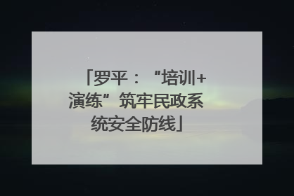 罗平：“培训+演练”筑牢民政系统安全防线