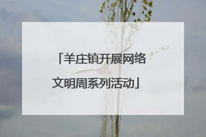 羊庄镇开展网络文明周系列活动