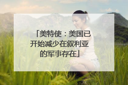 美特使：美国已开始减少在叙利亚的军事存在