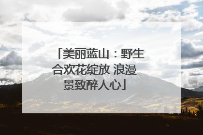 美丽蓝山：野生合欢花绽放 浪漫景致醉人心