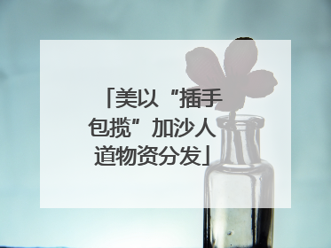 美以“插手包揽”加沙人道物资分发
