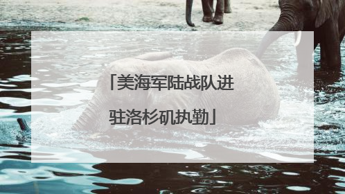 美海军陆战队进驻洛杉矶执勤