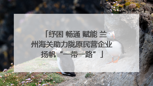 纾困 畅通 赋能 兰州海关助力陇原民营企业扬帆“一带一路”