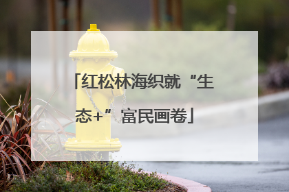 红松林海织就“生态+”富民画卷