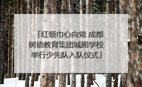 红领巾心向党 成都树德教育集团城厢学校举行少先队入队仪式