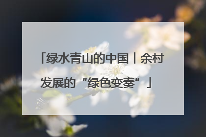 绿水青山的中国丨余村发展的“绿色变奏”
