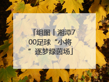 组图丨湘潭700足球“小将”逐梦绿茵场