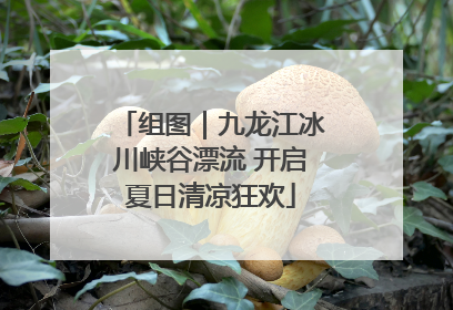 组图｜九龙江冰川峡谷漂流 开启夏日清凉狂欢