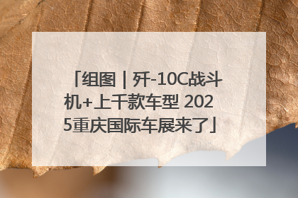 组图｜歼-10C战斗机+上千款车型 2025重庆国际车展来了