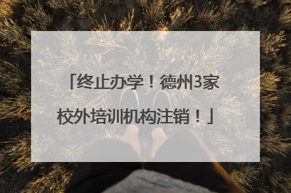 终止办学！德州3家校外培训机构注销！