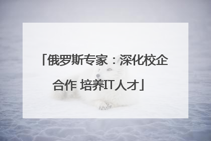 俄罗斯专家：深化校企合作 培养IT人才