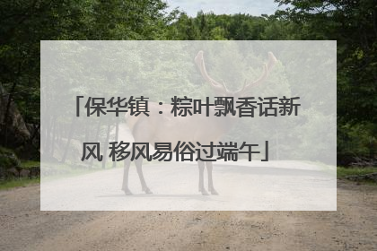 保华镇：粽叶飘香话新风 移风易俗过端午