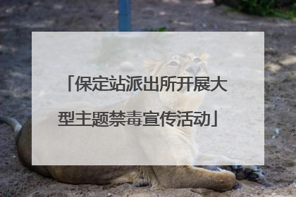保定站派出所开展大型主题禁毒宣传活动