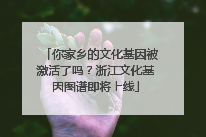 你家乡的文化基因被激活了吗？浙江文化基因图谱即将上线