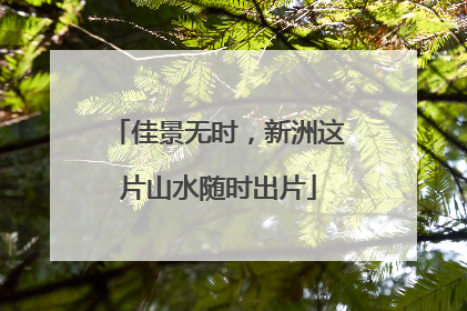 佳景无时，新洲这片山水随时出片
