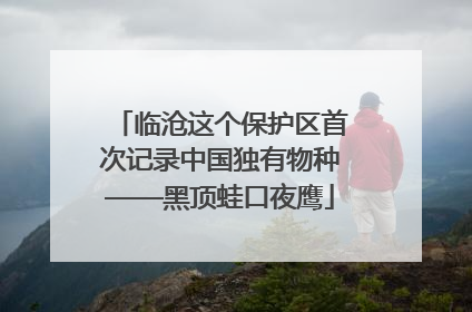 临沧这个保护区首次记录中国独有物种——黑顶蛙口夜鹰