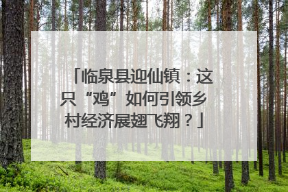 临泉县迎仙镇：这只“鸡”如何引领乡村经济展翅飞翔？