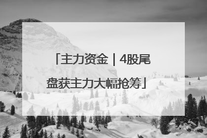 主力资金｜4股尾盘获主力大幅抢筹