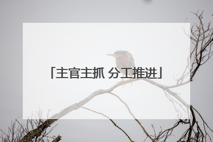 主官主抓 分工推进