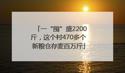 一“囤”盛2200斤，这个村470多个新粮仓存麦百万斤
