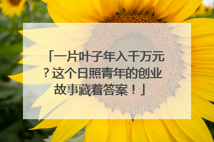 一片叶子年入千万元？这个日照青年的创业故事藏着答案！