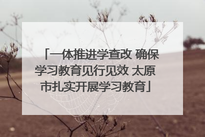 一体推进学查改 确保学习教育见行见效 太原市扎实开展学习教育