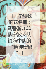 一份特殊的花名册：武警浙江总队宁波支队镇海中队的“精神密码”