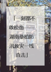 一刻都不敢松劲——湖南桑植防汛救灾一线直击