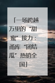 一场跨越万里的“甜蜜”接力：甬库“团结瓜”热销全国