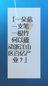 一朵菇 一支笔 一根竹 何以撬动浙江山区百亿产业？