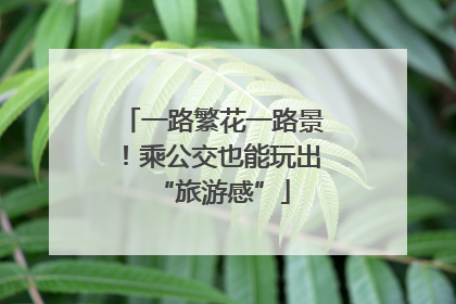 一路繁花一路景！乘公交也能玩出“旅游感”