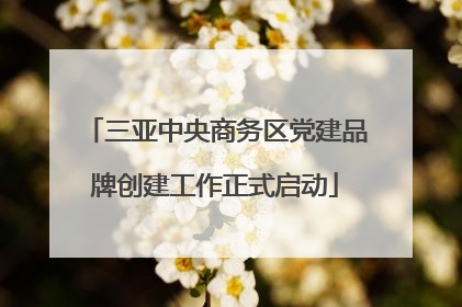 三亚中央商务区党建品牌创建工作正式启动