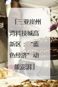 三亚崖州湾科技城高新区：“蓝色经济”动能澎湃