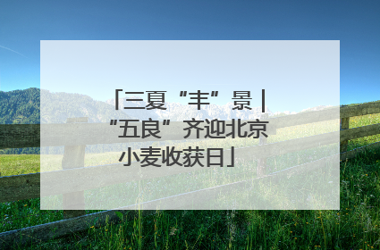 三夏“丰”景｜“五良”齐迎北京小麦收获日