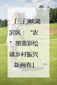 三门峡湖滨区：“农”墨重彩绘就乡村振兴新画卷