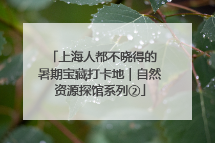 上海人都不晓得的 暑期宝藏打卡地｜自然资源探馆系列②