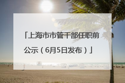 上海市市管干部任职前公示（6月5日发布）