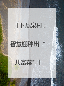 下瓦泉村：智慧棚种出“共富菜”