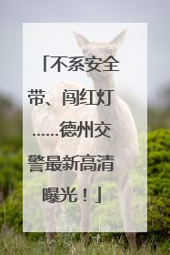 不系安全带、闯红灯……德州交警最新高清曝光！