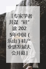 专家学者共谋“硅”途 2025年中国（乐山）硅产业链发展大会开幕