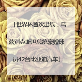 世界杯首次出线，乌兹别克斯坦总统豪赠球员42台比亚迪汽车