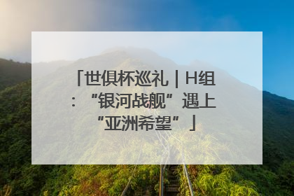 世俱杯巡礼｜H组：“银河战舰”遇上“亚洲希望”