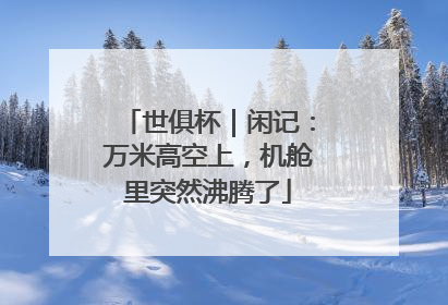 世俱杯｜闲记：万米高空上，机舱里突然沸腾了
