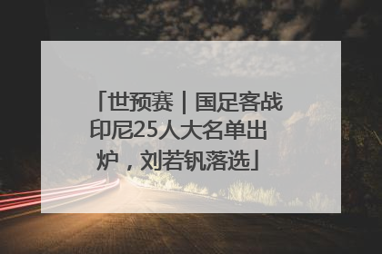 世预赛｜国足客战印尼25人大名单出炉，刘若钒落选