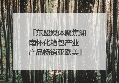 东盟媒体聚焦湖南怀化箱包产业 产品畅销亚欧美