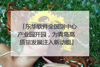 东华软件全国副中心产业园开园，为青岛高质量发展注入新动能