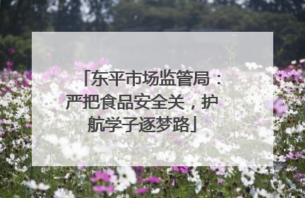 东平市场监管局：严把食品安全关，护航学子逐梦路