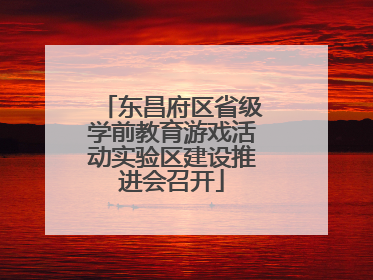东昌府区省级学前教育游戏活动实验区建设推进会召开