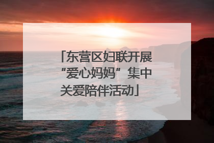 东营区妇联开展“爱心妈妈”集中关爱陪伴活动